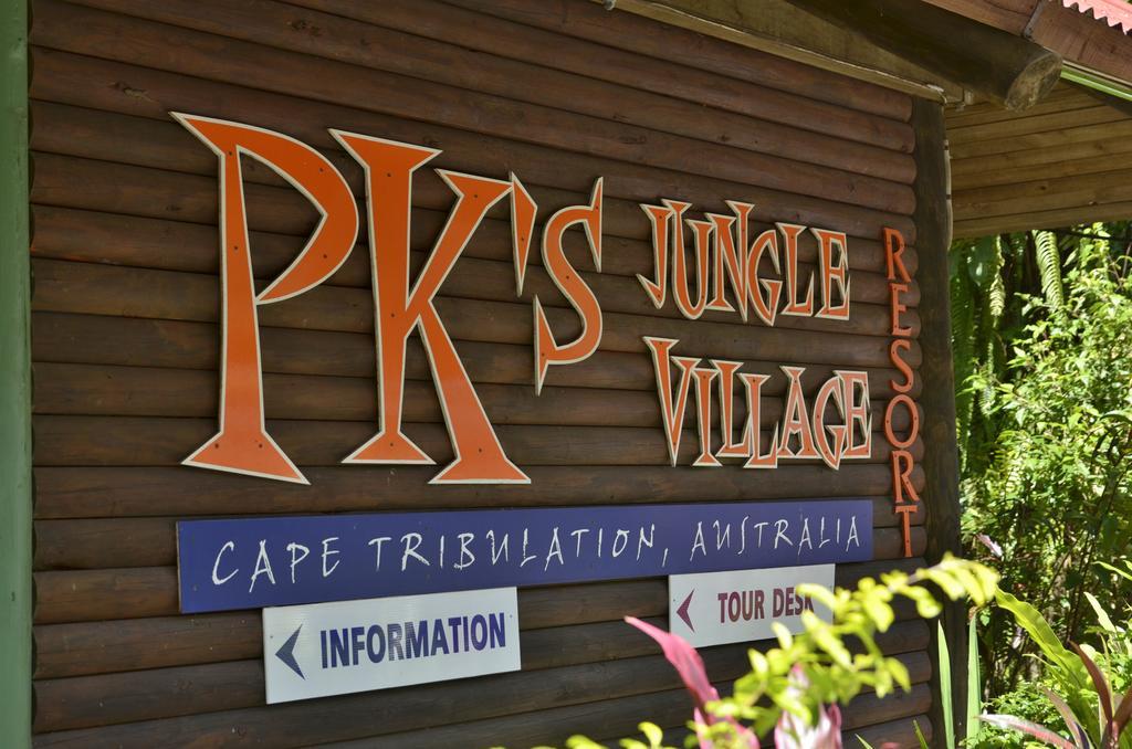 Pk'S Jungle Village Cape Tribulation Exterior photo